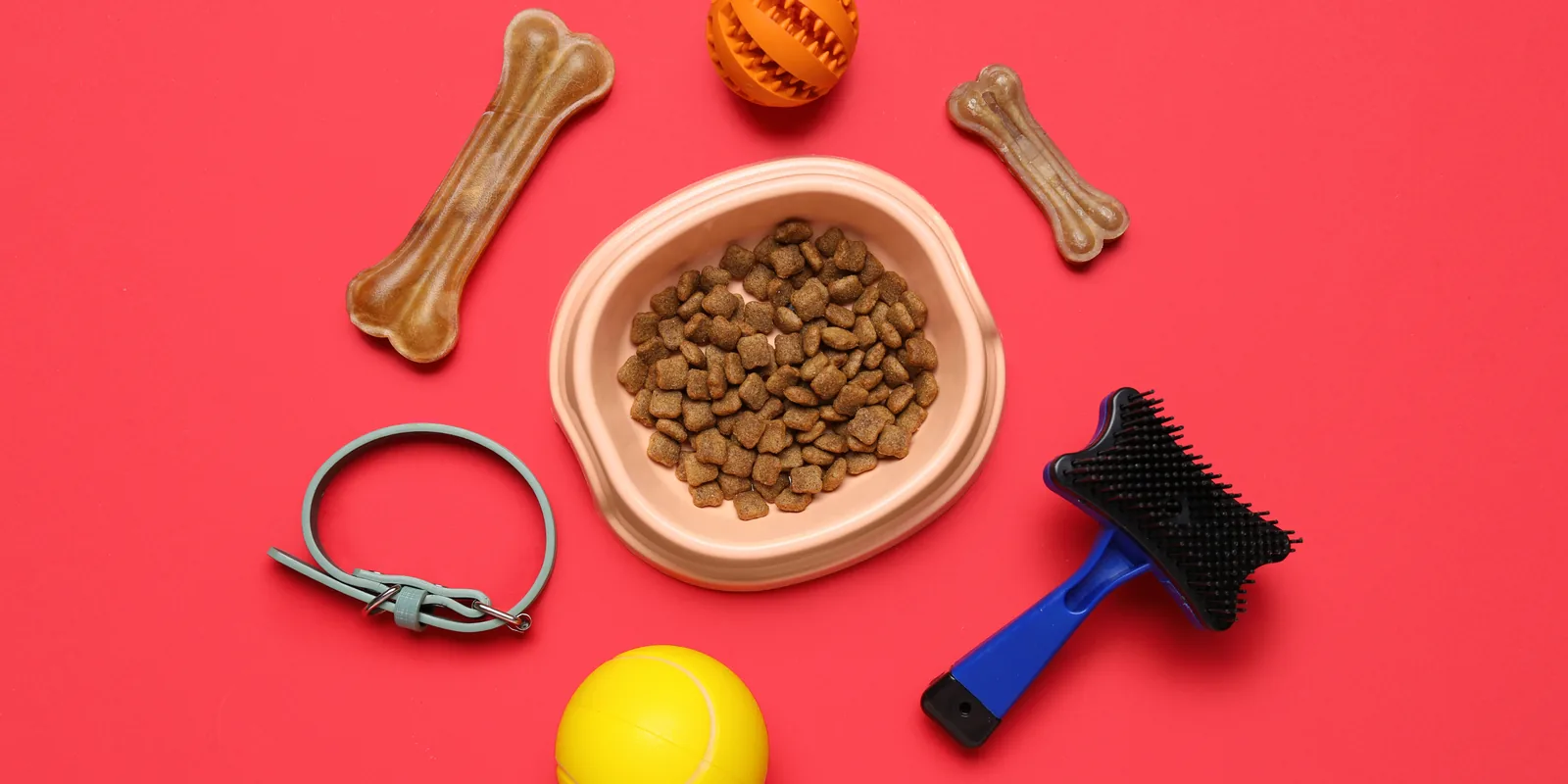 Pet Supplies